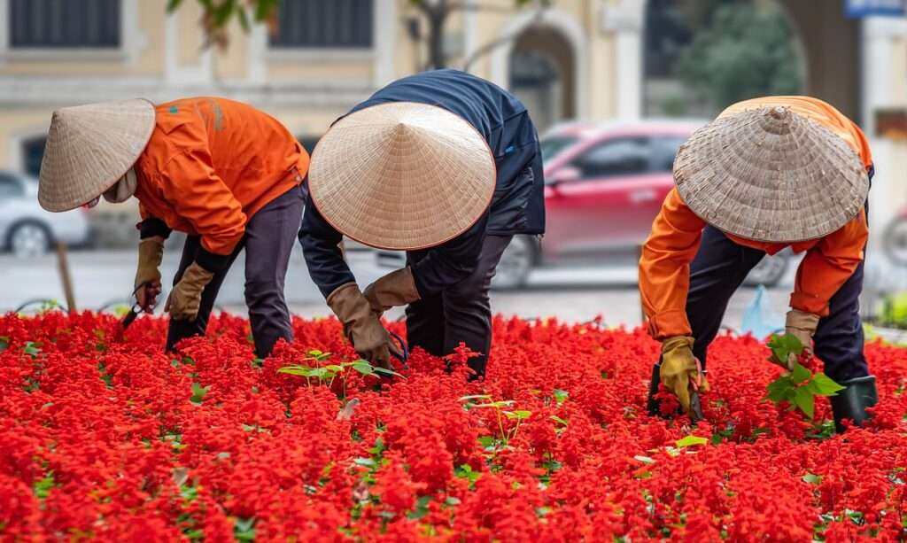 gardening, people, workers-4710392.jpg